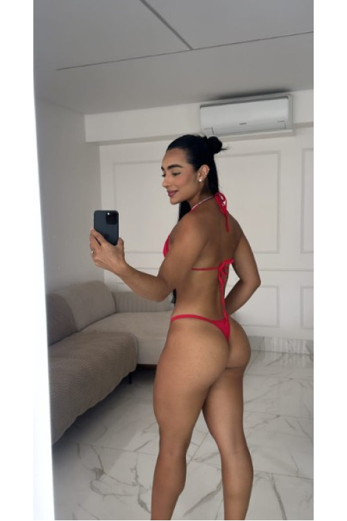 Bronze Liso